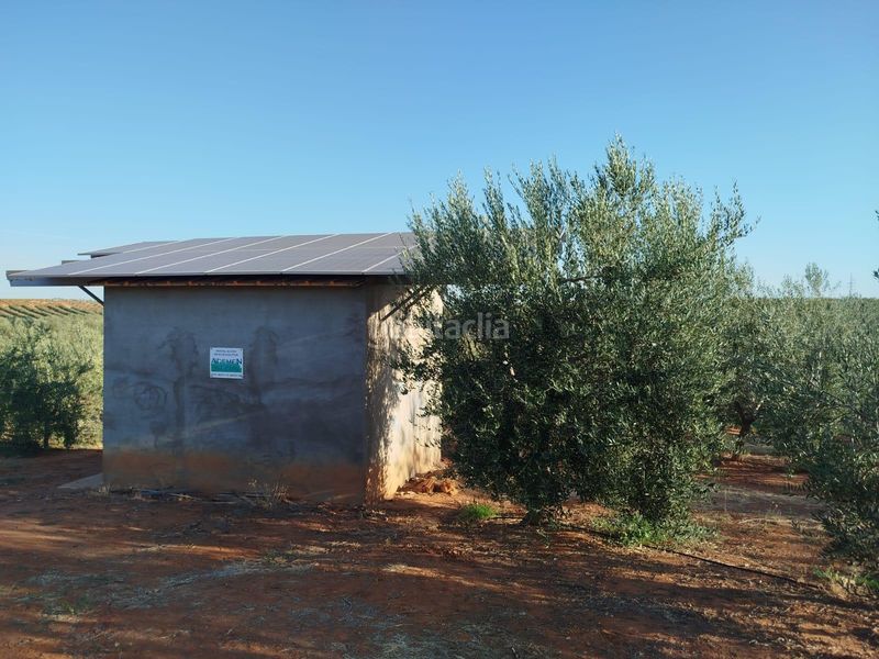 Foto 03dd0164-bbd0-4180-ac1a-859a1b846a15. Fondo rustico in Oeste Mérida
