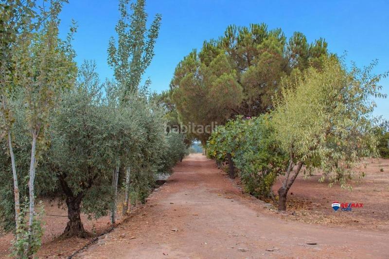 Foto 98a24ff5-bb37-4ef3-a8d8-5625565a833d. Casa dos casas rurales con piscina y licencia turística ideal para inversores o segunda residencia en Puebla de Obando