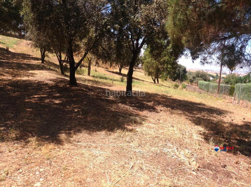 Foto 3ce9170a-ce2e-47f7-9cc0-b7c50cda4993. Terreny residencial a Carretera de Sevilla - Los Montitos Badajoz