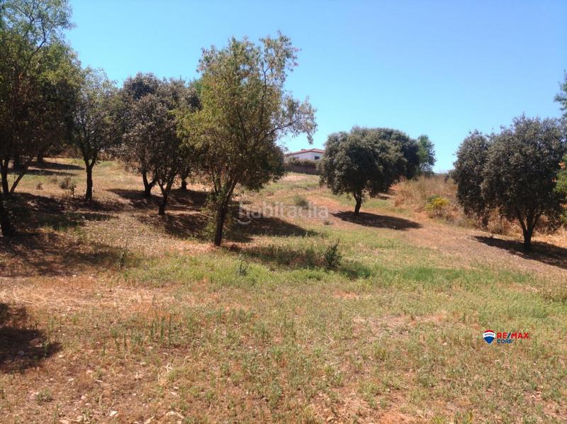 Foto 6e30cc5c-eeb3-4a26-9329-fe4be560f9da. Terreny residencial a Carretera de Sevilla - Los Montitos Badajoz