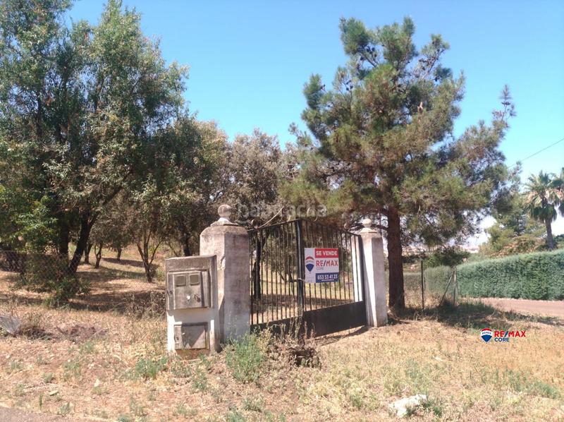 Foto 7a55403d-a442-4bba-bc4f-cf213e586e17. Terreny residencial a Carretera de Sevilla - Los Montitos Badajoz