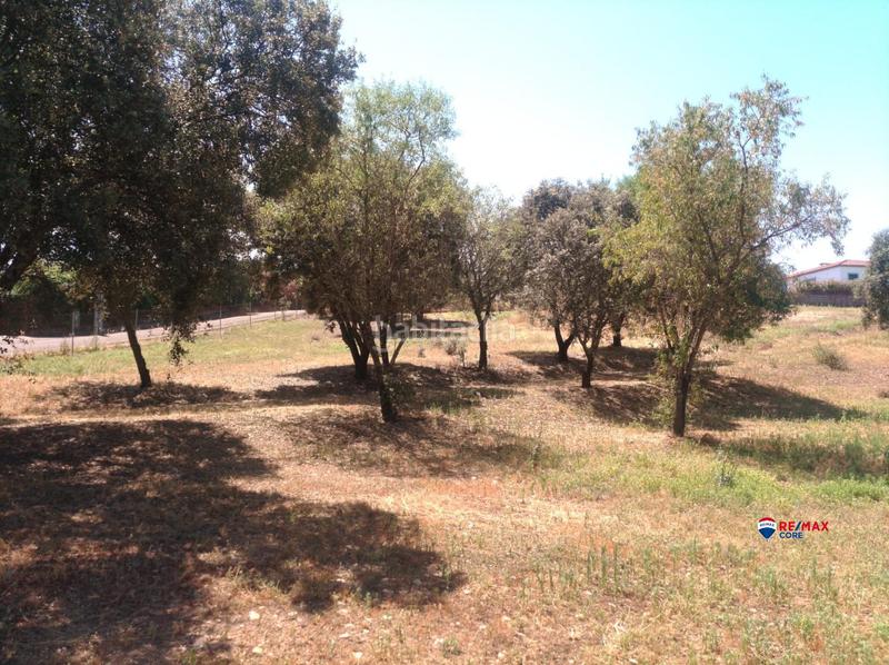 Foto 85d0d64c-0f36-4a62-aec4-a7a6b26b3357. Terreny residencial a Carretera de Sevilla - Los Montitos Badajoz