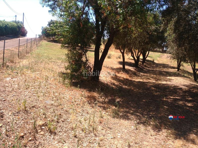 Foto 97f251bf-2818-49aa-b2ce-5982487fa203. Terreny residencial a Carretera de Sevilla - Los Montitos Badajoz