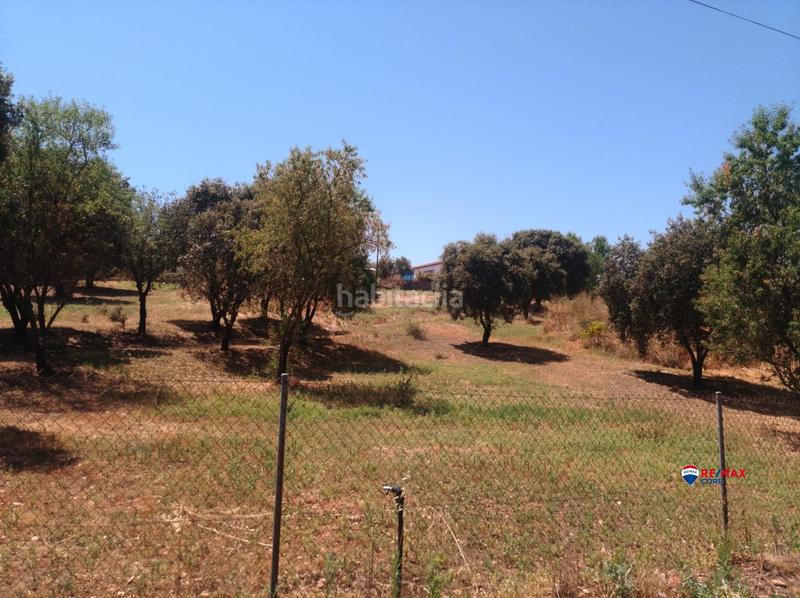 Foto efc5f7f6-759b-4879-950a-b926eb9bd47e. Terreny residencial a Carretera de Sevilla - Los Montitos Badajoz