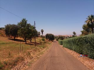 Residential Plot in Carretera de Sevilla - Los Montitos. Venta de terreno urbano en urbanización la atalaya  5.046 m2