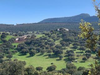 Finca rústica a Garbayuela. Finca de 350 ha con potencial agrícola, ganadero y turístico en