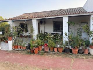 Casa a Sur. Excepcional parcela con casa y naves a solo 3 minutos de mérida