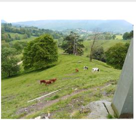 Rural plot in Calle la laguna 13. Finca ganadera en asturias