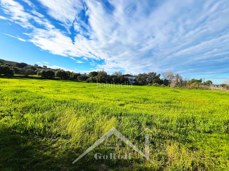 Foto 0f104882-013d-45ba-a555-da1775449159. Residential plot in Castilblanco de los Arroyos