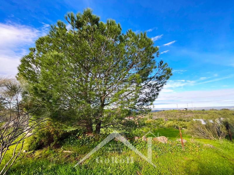 Foto 1d3a2956-8ed9-4ca1-98ab-5b5ec6d5c1b2. Residential plot in Castilblanco de los Arroyos