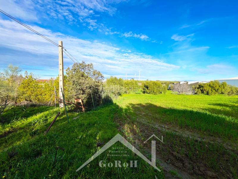 Foto a9e0c006-e965-4860-b729-40331bdad9d4. Residential plot in Castilblanco de los Arroyos