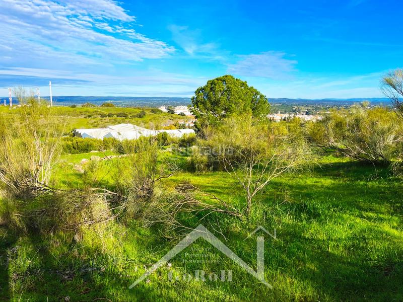 Foto add3bb9b-d23a-430c-b72f-057fd5cd3fc6. Residential plot in Castilblanco de los Arroyos