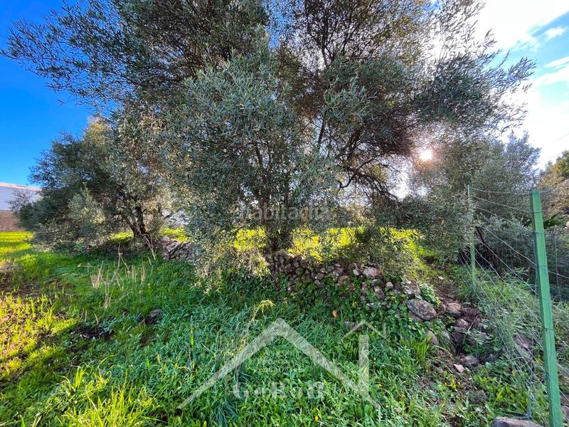 Foto ba8da90d-dded-47cb-a380-a59559706348. Residential plot in Castilblanco de los Arroyos