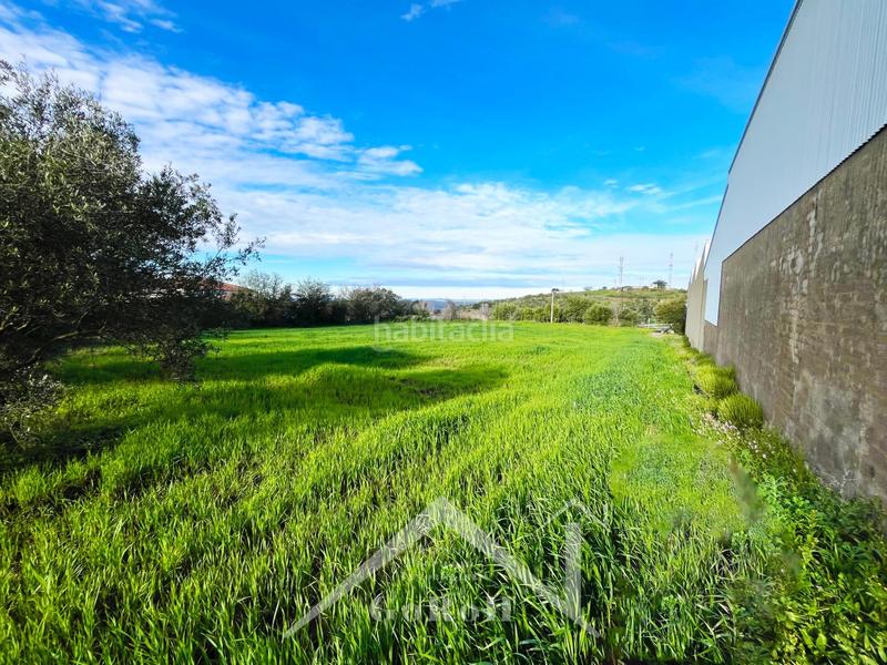 Foto c14c312e-f79f-4e74-9554-db9fcd6716b5. Residential plot in Castilblanco de los Arroyos