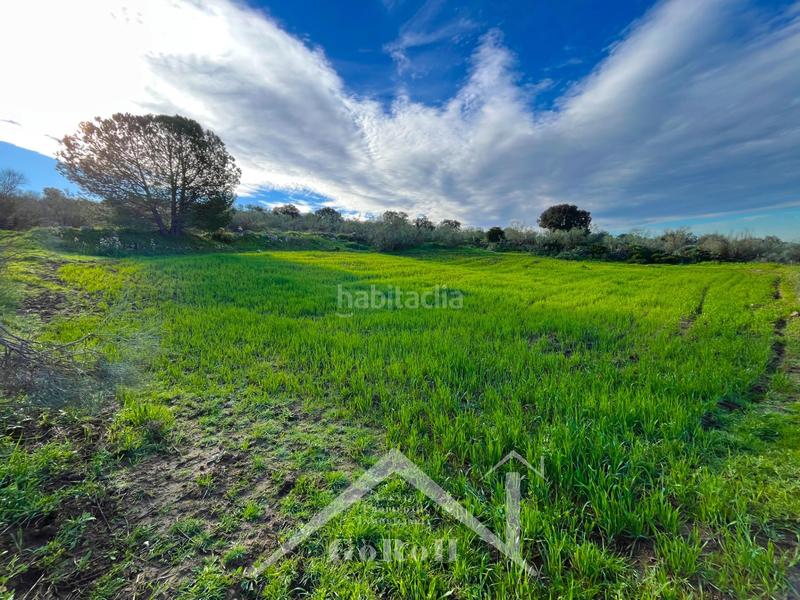 Foto ce80bdfb-da4a-49ff-bfe6-2efffdf85acf. Residential plot in Castilblanco de los Arroyos