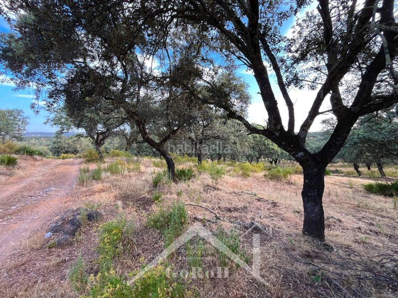 Foto 1c7ea1b6-1280-4519-8d03-df999b90e5ae. Finca rústica a Castilblanco de los Arroyos