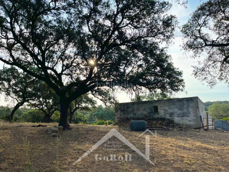 Foto 3dd96d1f-9b13-4229-96af-b956fb77b8f4. Rural plot in Castilblanco de los Arroyos