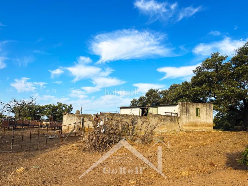 Foto 562ee9e9-bff4-47a1-bf2c-ccde8c57243c. Finca rústica a Castilblanco de los Arroyos