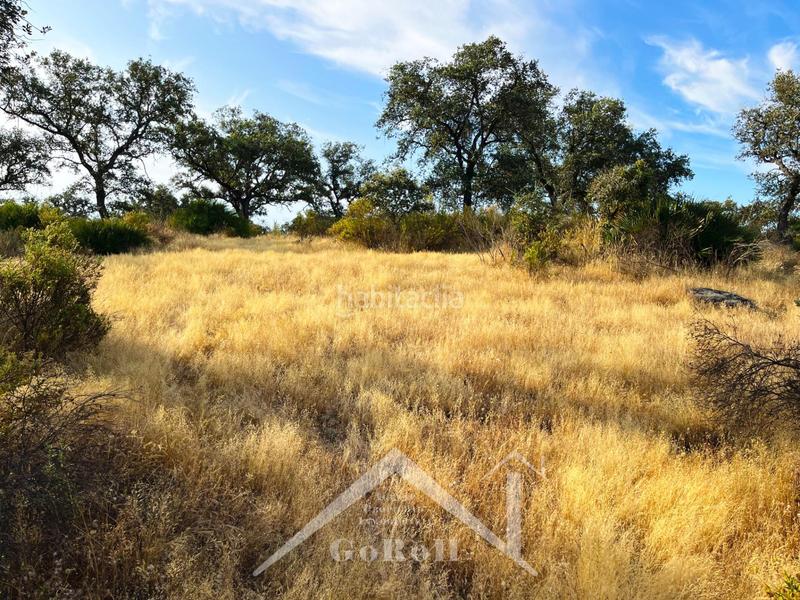 Foto 5b53a527-5594-40eb-aed3-1e7e8ffd2c63. Rural plot in Castilblanco de los Arroyos
