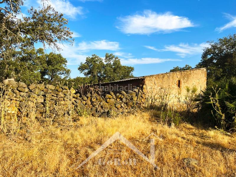 Foto a7a321a8-6d9c-424e-938a-06de2af7eced. Rural plot in Castilblanco de los Arroyos