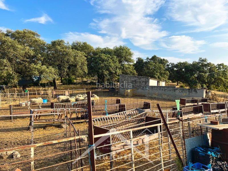 Foto abb49897-8885-4990-8e94-485ff6851d79. Finca rústica a Castilblanco de los Arroyos
