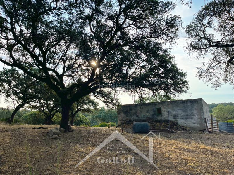 Foto b9de7119-6e11-4fb8-acb5-b104d8038722. Finca rústica a Castilblanco de los Arroyos