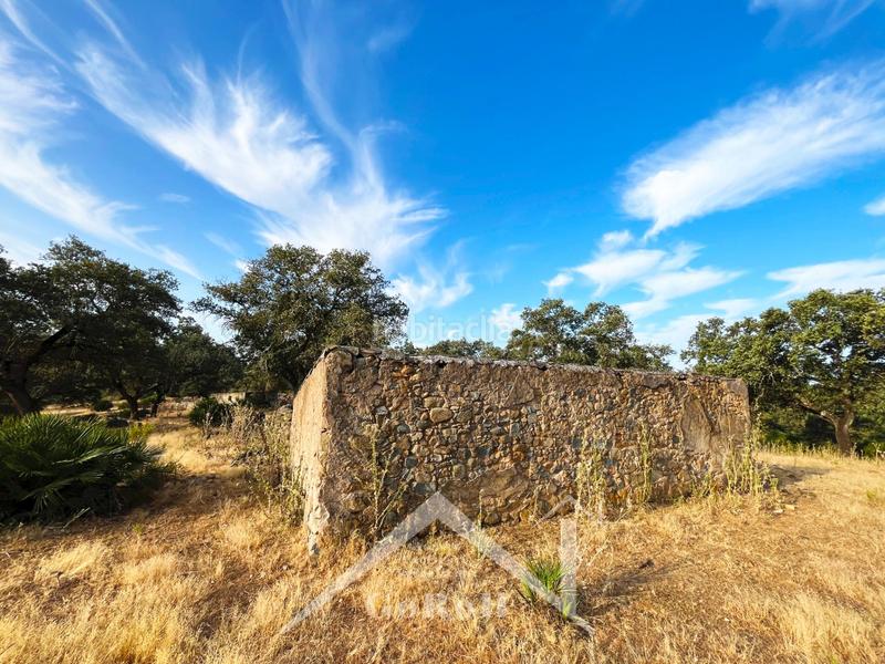 Foto c8ffb4f7-d5a0-447c-a850-a88585caa0d2. Rural plot in Castilblanco de los Arroyos
