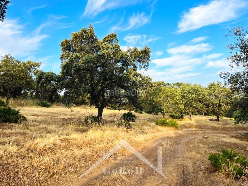 Foto df7e3672-bf6a-402d-82fc-81392b32904b. Rural plot in Castilblanco de los Arroyos