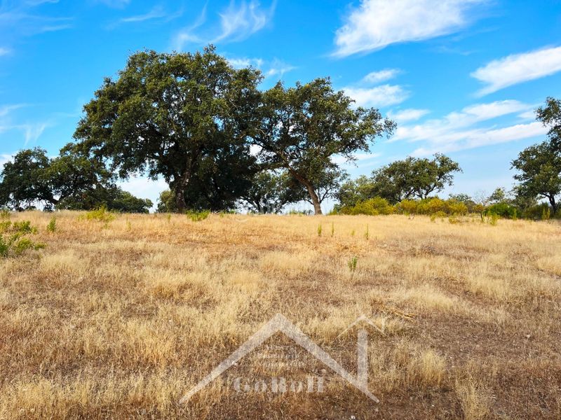 Foto e9b31e49-0c33-4c4f-a0b3-5651869b991f. Finca rústica a Castilblanco de los Arroyos