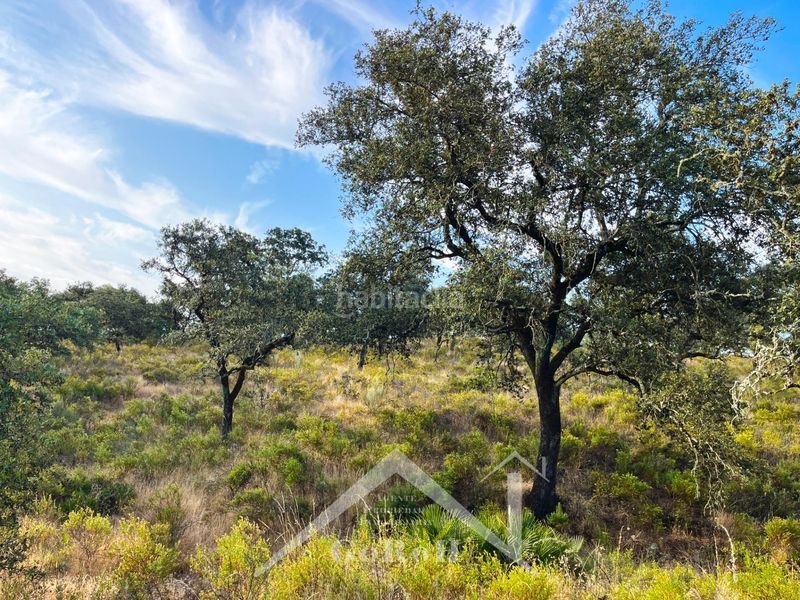 Foto f805a011-f4d3-40e2-87e0-1c8c61440ad4. Finca rústica a Castilblanco de los Arroyos