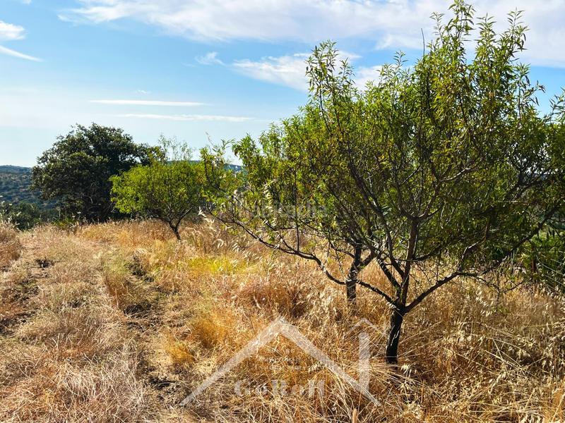 Foto 0e50d9d5-89b7-42da-96d6-8406b02d286a. Rural plot in Castilblanco de los Arroyos