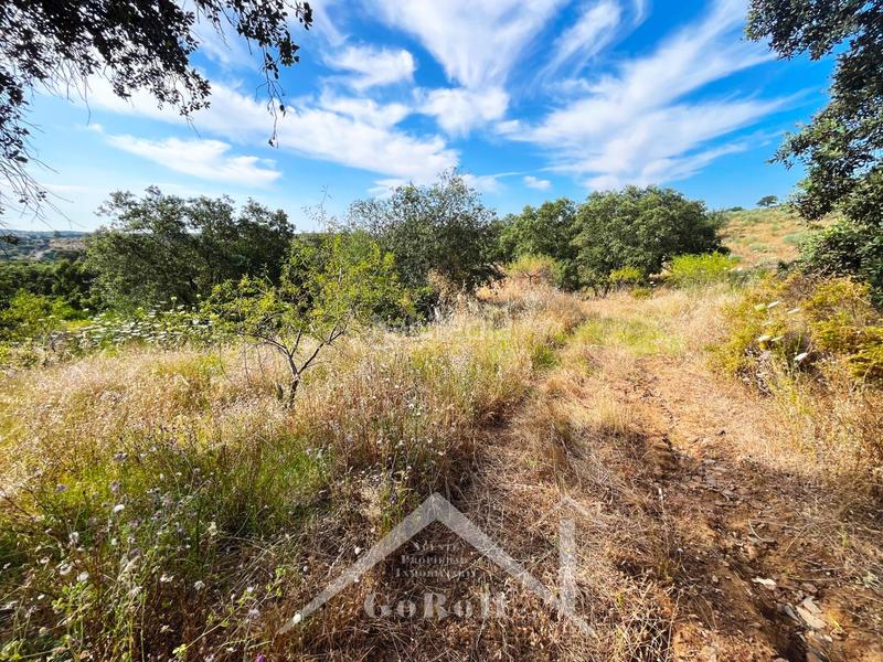 Foto 84fb8058-4dce-4903-be27-7c04d084a000. Rural plot in Castilblanco de los Arroyos