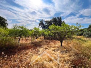 Finca rústica  Castilblanco de los arroyos. Un rincón natural con infinitas posibilidades.
