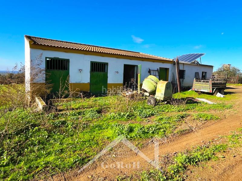 Foto 0b2b23a1-4ecb-4e8f-837c-84f0caa5182a. Finca rústica parcela rústica con vivienda, instalaciones ganaderas y licencia zoológica en Castilblanco de los Arroyos