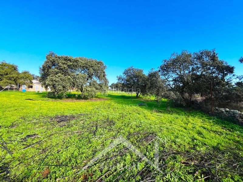 Foto 3aa5045b-d4c2-4e29-8889-ba5b62b3b06d. Finca rústica parcela rústica con vivienda, instalaciones ganaderas y licencia zoológica en Castilblanco de los Arroyos