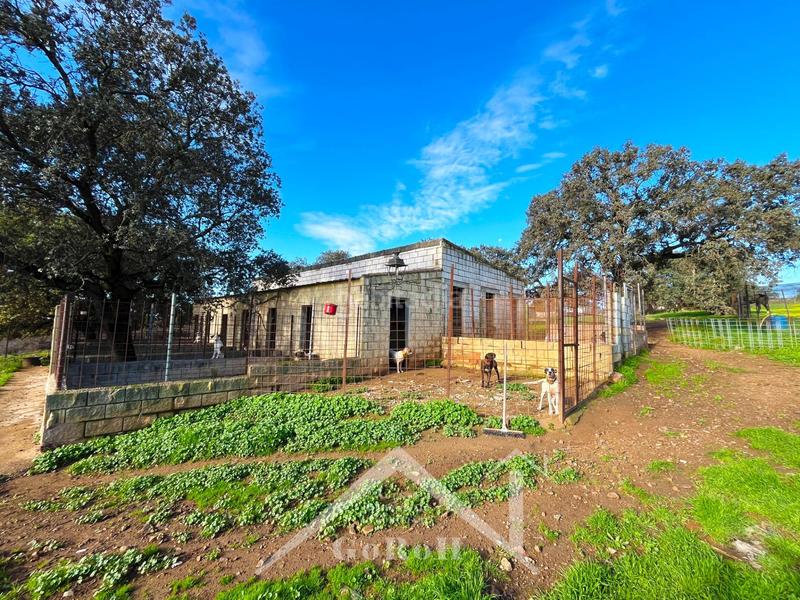 Foto 3d8f00e9-6c8c-4c1c-b704-11331ca1ad6e. Finca rústica parcela rústica con vivienda, instalaciones ganaderas y licencia zoológica en Castilblanco de los Arroyos