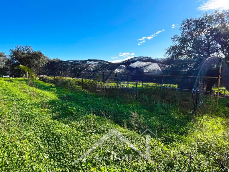 Foto 48ea5f16-8844-4f8a-8da0-ee98203d3bc3. Finca rústica parcela rústica con vivienda, instalaciones ganaderas y licencia zoológica en Castilblanco de los Arroyos