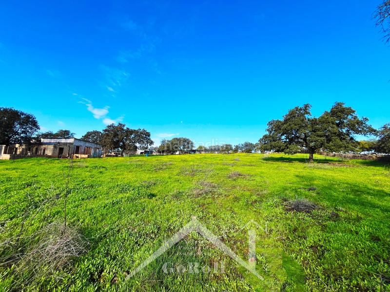 Foto 559ab078-0d02-4153-92ed-6fa2fa1428c2. Finca rústica parcela rústica con vivienda, instalaciones ganaderas y licencia zoológica en Castilblanco de los Arroyos