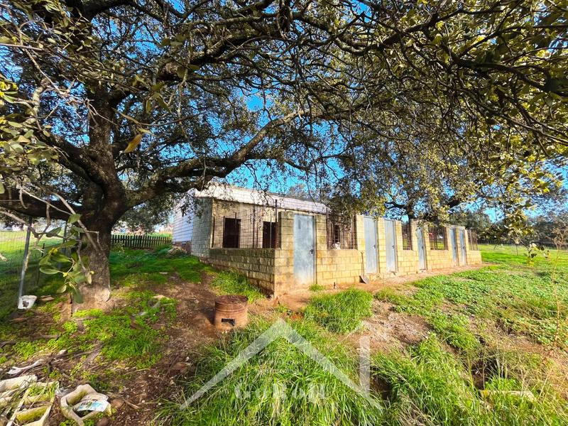 Foto 61617e1b-695a-4580-8dad-252e328fb2ad. Finca rústica parcela rústica con vivienda, instalaciones ganaderas y licencia zoológica en Castilblanco de los Arroyos