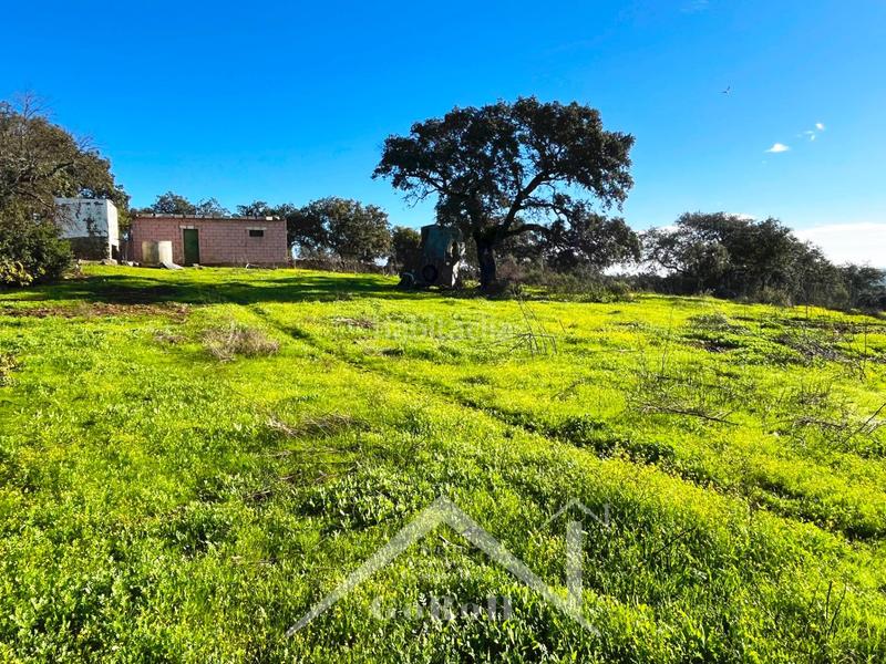 Foto 70b69d83-06f3-453b-86d8-45a76842f01d. Finca rústica parcela rústica con vivienda, instalaciones ganaderas y licencia zoológica en Castilblanco de los Arroyos