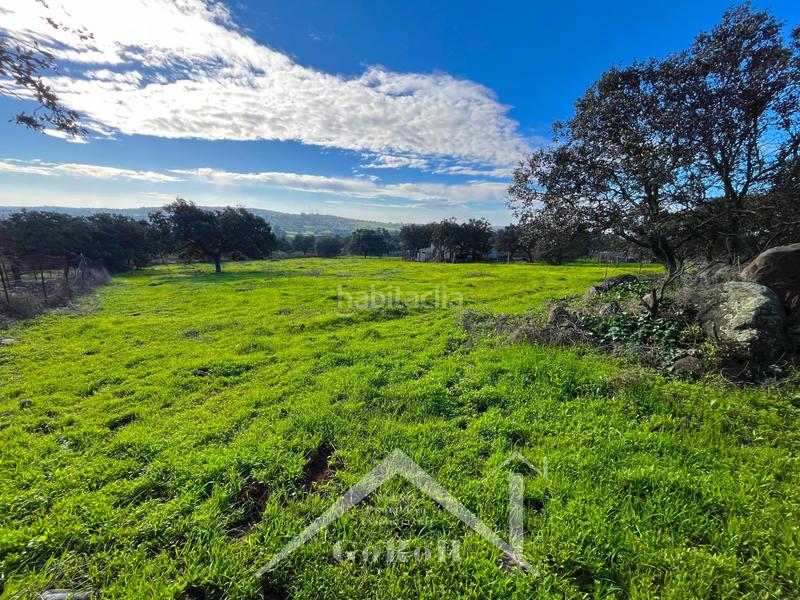 Foto 75a3bb90-a2c7-464a-a6c2-9e2d5c7d906b. Finca rústica parcela rústica con vivienda, instalaciones ganaderas y licencia zoológica en Castilblanco de los Arroyos