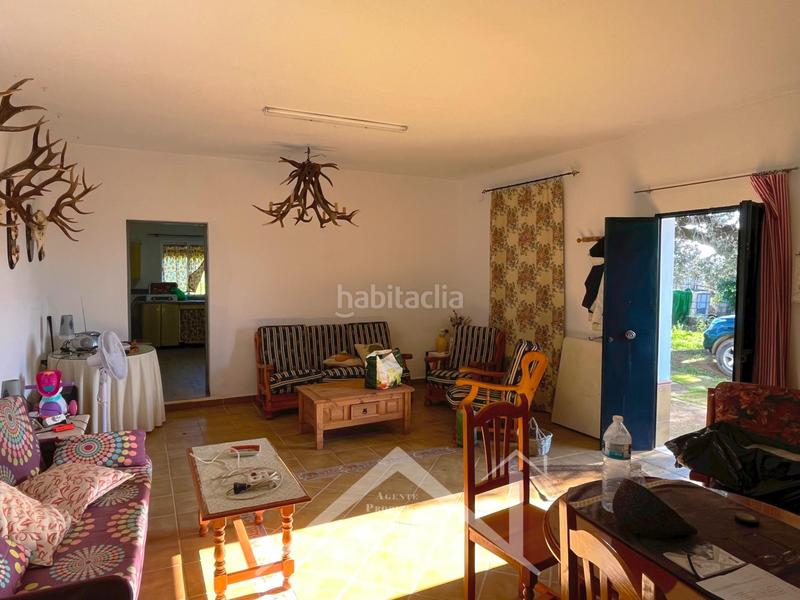 Foto 7f8b5f6c-3028-41cc-9dcd-1fddadea577d. Finca rústica parcela rústica con vivienda, instalaciones ganaderas y licencia zoológica en Castilblanco de los Arroyos