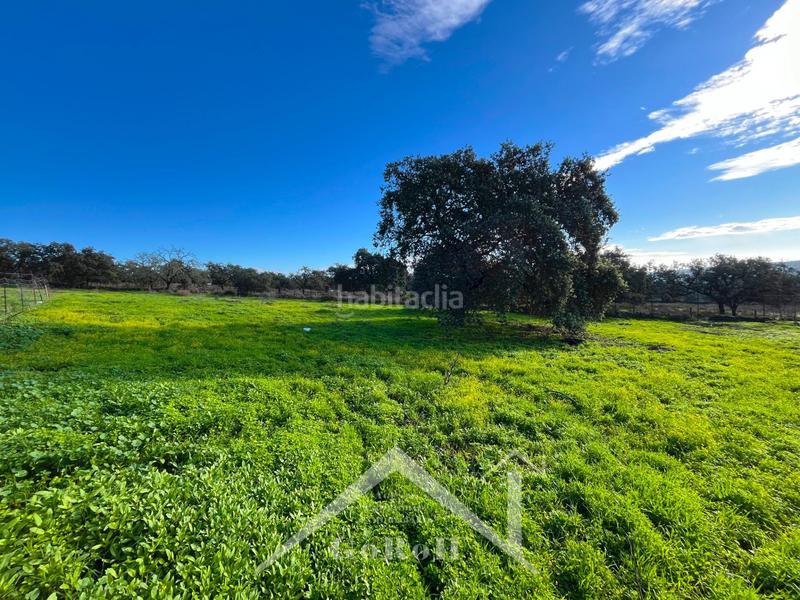 Foto 807534ea-cd98-48fc-a0e1-637cf60011f9. Finca rústica parcela rústica con vivienda, instalaciones ganaderas y licencia zoológica en Castilblanco de los Arroyos