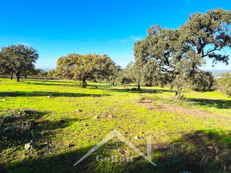 Foto 8e77b713-6938-45d7-856f-d6a5019fe539. Finca rústica parcela rústica con vivienda, instalaciones ganaderas y licencia zoológica en Castilblanco de los Arroyos