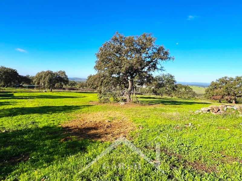 Foto 91d09c60-50ff-4d06-9f86-1b1411133312. Finca rústica parcela rústica con vivienda, instalaciones ganaderas y licencia zoológica en Castilblanco de los Arroyos
