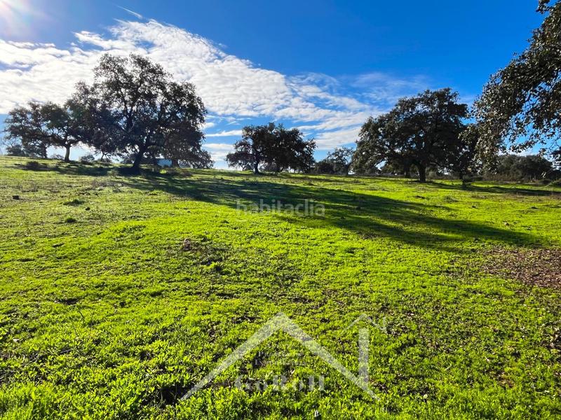 Foto 9bf841a3-de8e-4c0a-8070-43d7e1dab080. Finca rústica parcela rústica con vivienda, instalaciones ganaderas y licencia zoológica en Castilblanco de los Arroyos