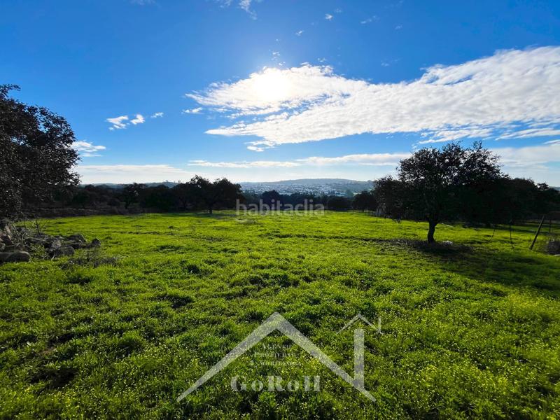 Foto a88a9562-bb32-4687-8eae-f388bb1edd67. Finca rústica parcela rústica con vivienda, instalaciones ganaderas y licencia zoológica en Castilblanco de los Arroyos