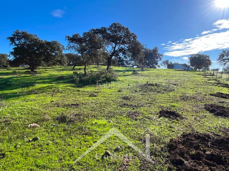 Foto bb693b09-deb7-4ba9-a8f9-b5e13b062507. Finca rústica parcela rústica con vivienda, instalaciones ganaderas y licencia zoológica en Castilblanco de los Arroyos