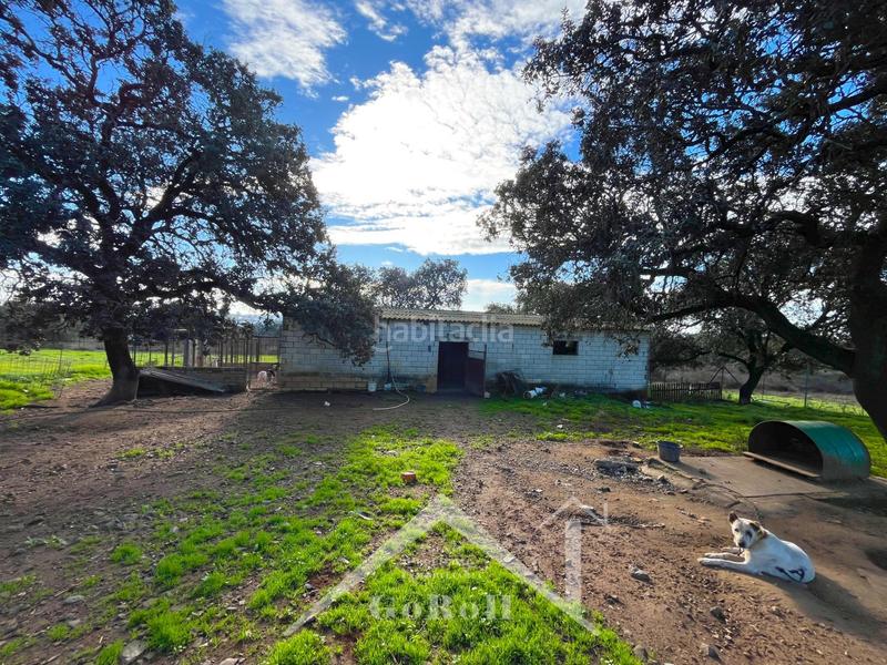 Foto d4b7cc5b-75bd-4e6f-b7e7-1b7c3f79ba6c. Finca rústica parcela rústica con vivienda, instalaciones ganaderas y licencia zoológica en Castilblanco de los Arroyos