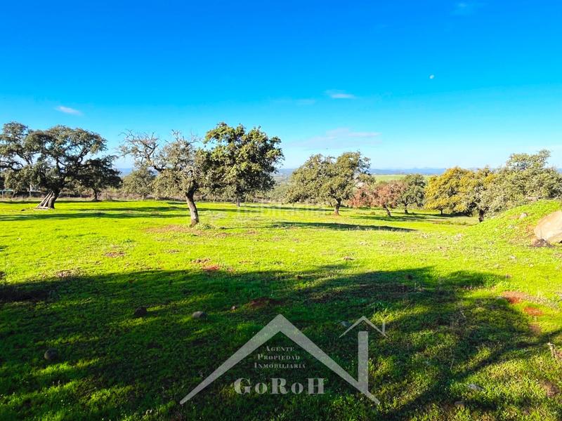 Foto e366a3d3-287d-45f4-857c-5cf30f934367. Finca rústica parcela rústica con vivienda, instalaciones ganaderas y licencia zoológica en Castilblanco de los Arroyos